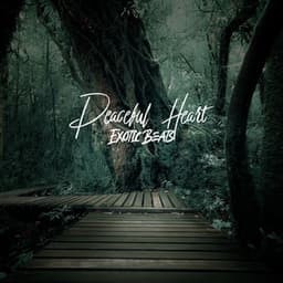 Peaceful Heart. Exotic Beats - Exotic Power Maker