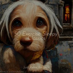 50 Exercise Sleepy Classics - Soothing Sounds