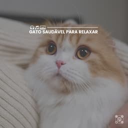 Gato Saudável para Relaxar - Musica para Gatos