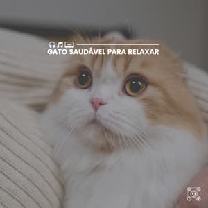 Gato Saudável para Relaxar - Musica para Gatos