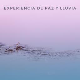 Experiencia De Paz Y Lluvia - Mar de ruido