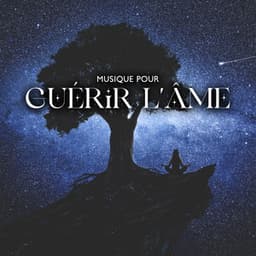 Musique pour guérir l'âme - Chansons Reiki et musique pour la méditation - Académie de bien-être