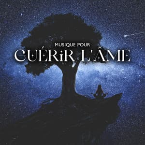 Musique pour guérir l'âme - Chansons Reiki et musique pour la méditation - Académie de bien-être