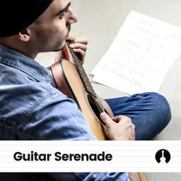 Guitar Serenade - Guitar Calm