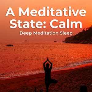 A Meditative State: Calm - Deep Meditation Sleep