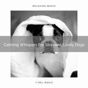 Calming Whispers For Stressed, Lively Dogs - Pets Relax