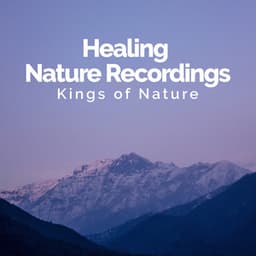 Healing Nature Recordings - Kings of Nature
