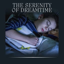 The Serenity of Dreamtime - Relaxation And Meditation