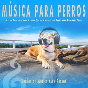 Música para Perros: Música Tranquila para Ayudar Con la Ansiedad del Perro para Relajarse Perro - Colectivo De Música Para Perros