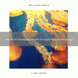 Noises Of Waves And Woods For Good Absolute Recharge - Noise Gravity