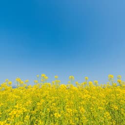 Nature's Serenade in Blossom - cloudy night