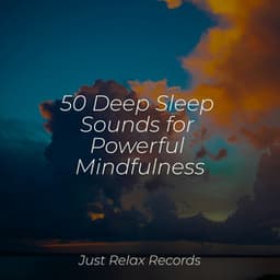 50 Deep Sleep Sounds for Powerful Mindfulness - Easy Sleep Music