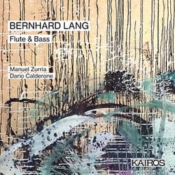 Bernhard Lang: Flute & Bass - Bernhard Lang