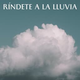Ríndete A La Lluvia - Relajantes sonidos de lluvia