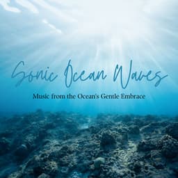 Sonic Ocean Waves: Music from the Ocean's Gentle Embrace - Hidden Baltic Waves