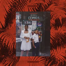 Better Than Fiction Too - Junclassic