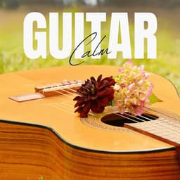 Guitar Calm: Guitar Relaxation Therapy - Jazz Guitar Guys
