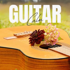 Guitar Calm: Guitar Relaxation Therapy - Jazz Guitar Guys