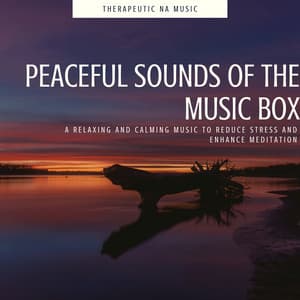 Peaceful Sounds of the Music Box: A Relaxing and Calming Music to Reduce Stress and Enhance Meditation - Therapeutic NA Music