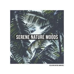 Serene Nature Moods - Relaxing Nature Ambience