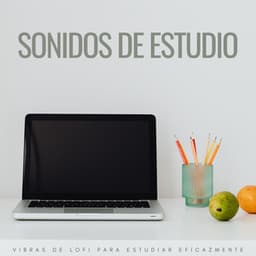 Sonidos De Estudio: Vibras De Lofi Para Estudiar Eficazmente - Estudio lofi