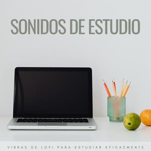 Sonidos De Estudio: Vibras De Lofi Para Estudiar Eficazmente - Estudio lofi