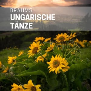 Brahms: Ungarische Tänze - Johannes Brahms