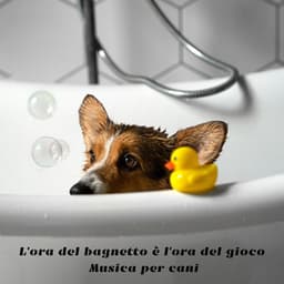 L'ora del bagnetto è l'ora del gioco: Musica per cani - Musica per Cani!