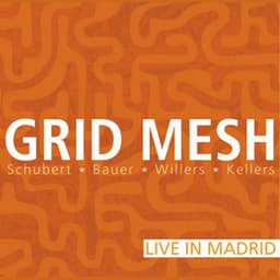Grid Mesh; Live in Madrid - Frank Paul Schubert