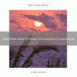 Best White Noise Of Ocean And Animals For Good Sleep - Noise Makers