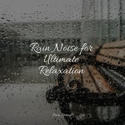 Rain Noise for Ultimate Relaxation - Sonido de lluvia