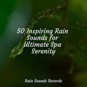 50 Inspiring Rain Sounds for Ultimate Spa Serenity - Lucid Dreaming Music