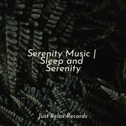 Serenity Music | Sleep and Serenity - Preschool Kids