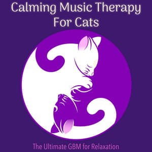 Calming Music Therapy for Cats: The ultimate GBM for Relaxation - Cat Music