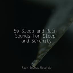 50 Sleep and Rain Sounds for Sleep and Serenity - Weather Factory