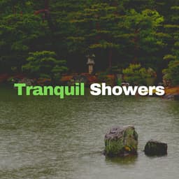 Tranquil Showers - Rain and Chill