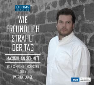 Wie freundlich strahlt der Tag - Maximilian Schmitt