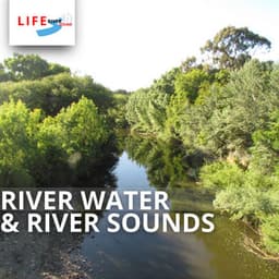 River Water & River Sounds - Life River Sound