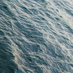 100 Wavelengths: Vital Bloom - Nature Sound Collection