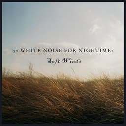 50 White Noise For Nightime: Soft Winds - White Noise Therapy