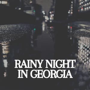 Rainy Night in Georgia - 24H Rain Sounds