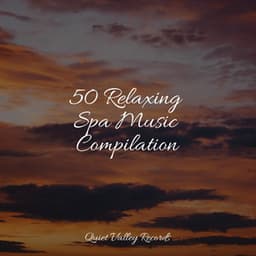 50 Relaxing Spa Music Compilation - Asian Zen Spa Music Meditation