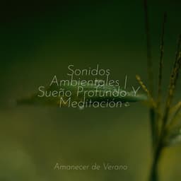Sonidos Ambientales | Sueño Profundo Y Meditación - Relajacion Del Mar