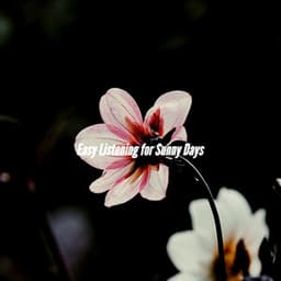 Easy Listening for Sunny Days - Musique pour Travailler