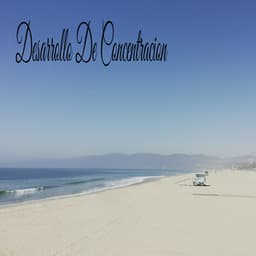 Desarrollo De Concentracion - Classical New Age Piano Music