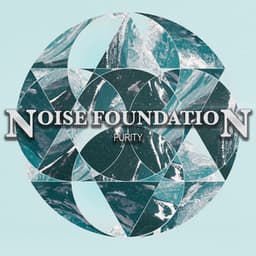 Purity - Noise Foundation