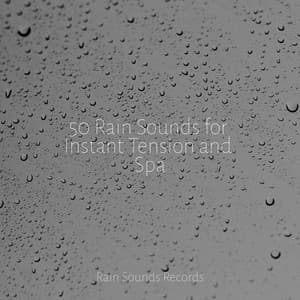 50 Rain Sounds for Instant Tension and Spa - Canciones De Cuna