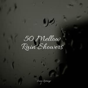 50 Mellow Rain Showers - Rain Man Sounds