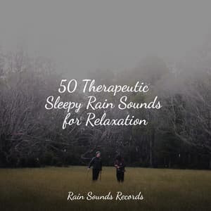 50 Therapeutic Sleepy Rain Sounds for Relaxation - Binaural Beats Brainwave Entrainment