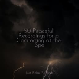 50 Peaceful Recordings for a Comforting at the Spa - Meditar Profundamente